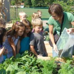 Mrs. Horst adds compost to the garden